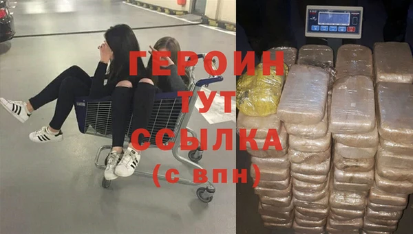 индика Богданович